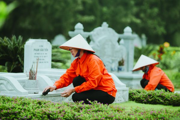 CHĂM SÓC CÂY XANH